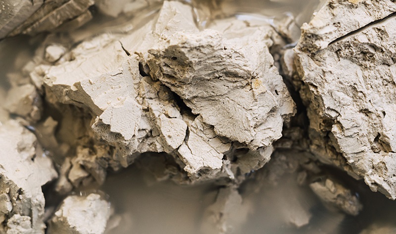 Organophillic Clays
