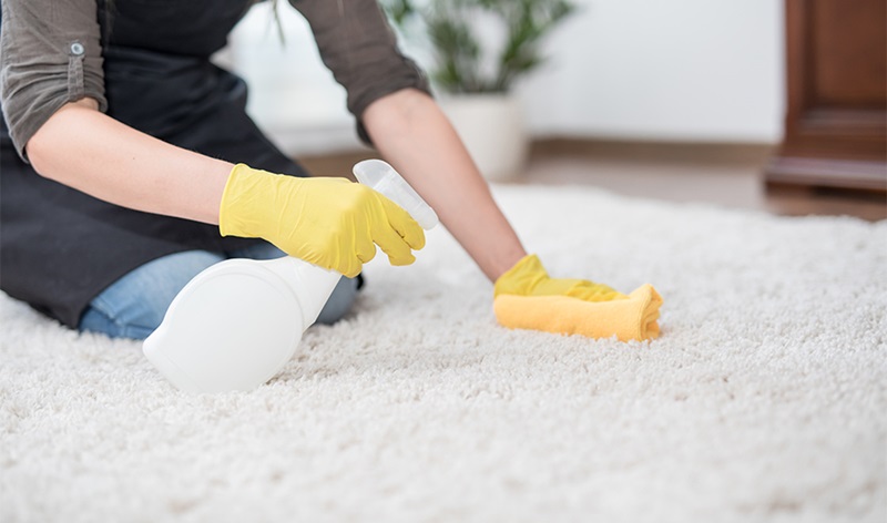 Textile, Carpet and Upholstery Care