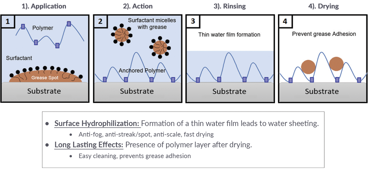 Expected Mechanism