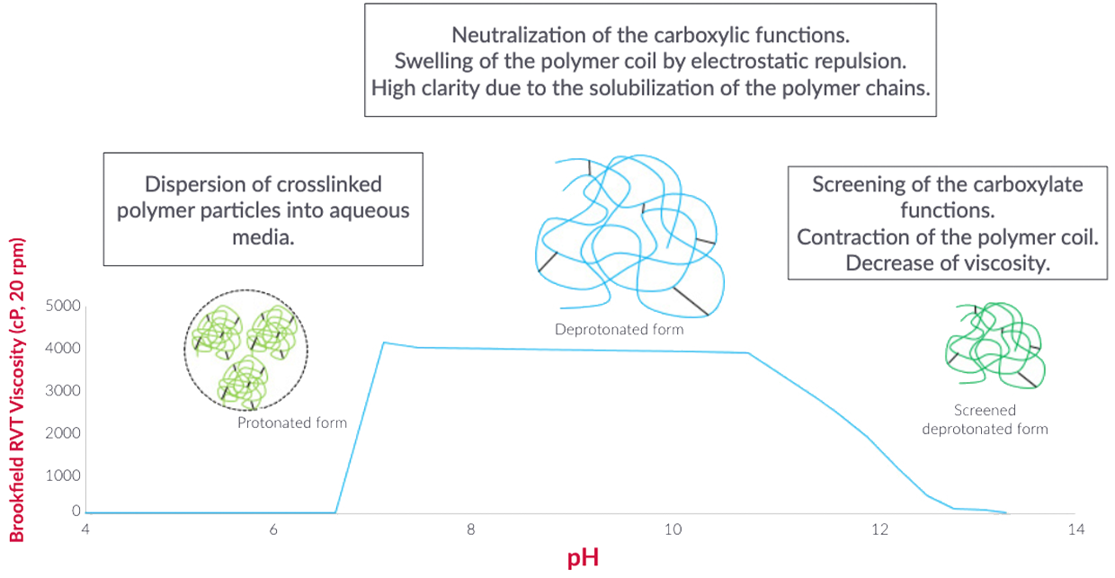 Flogel DE 35 HA Mechanisms