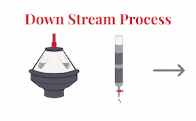 Down Stream Process